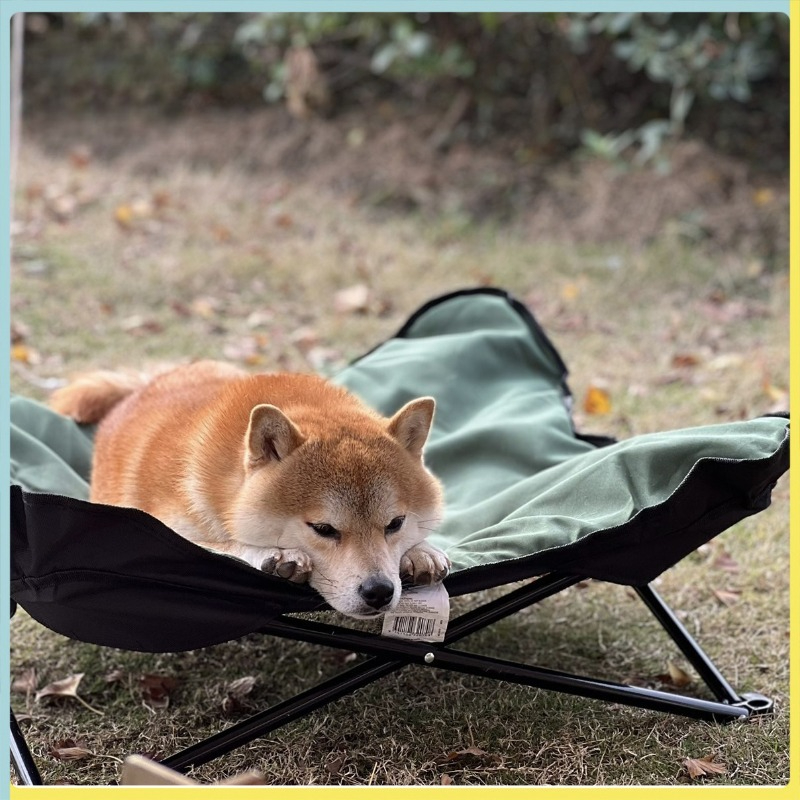 탈부착 가능한 고양이 및 강아지 매트리스, 휴대용 애완 - Outdoor Camping Dog Bed 리뷰 및 가격
