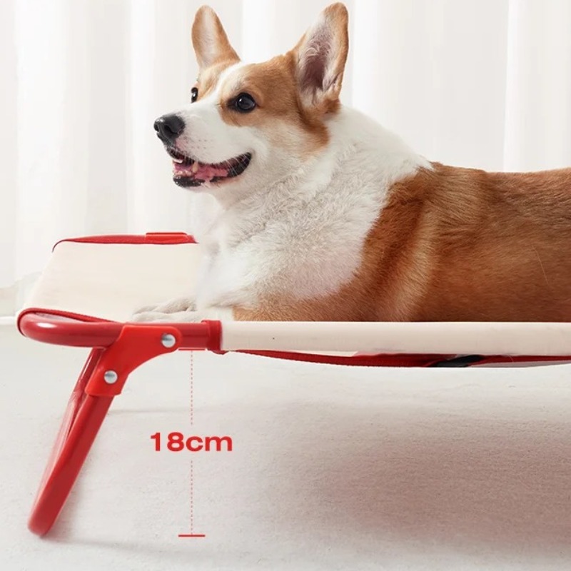 중형견용 접이식 개 침대 - 통기성 메쉬가 있는 휴대용 - Outdoor Camping Dog Bed 리뷰 및 가격
